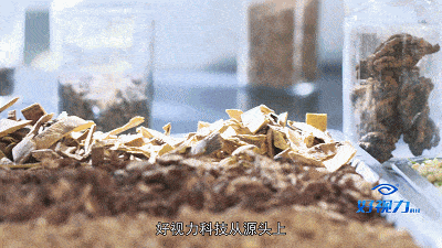 系列|【992 | 护眼】吃月饼喝奶茶等系列甜食，视力会变差？