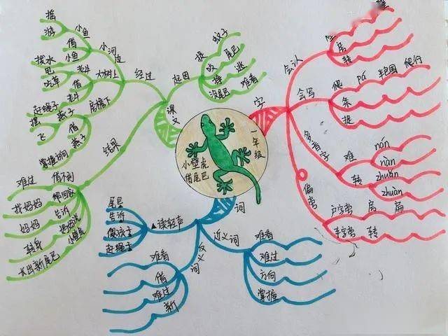 思维导图学课文