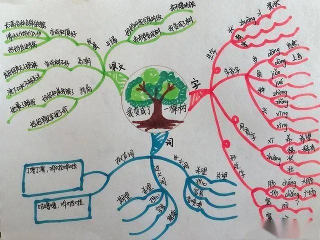 思維導圖學課文三年級我變成了一棵樹