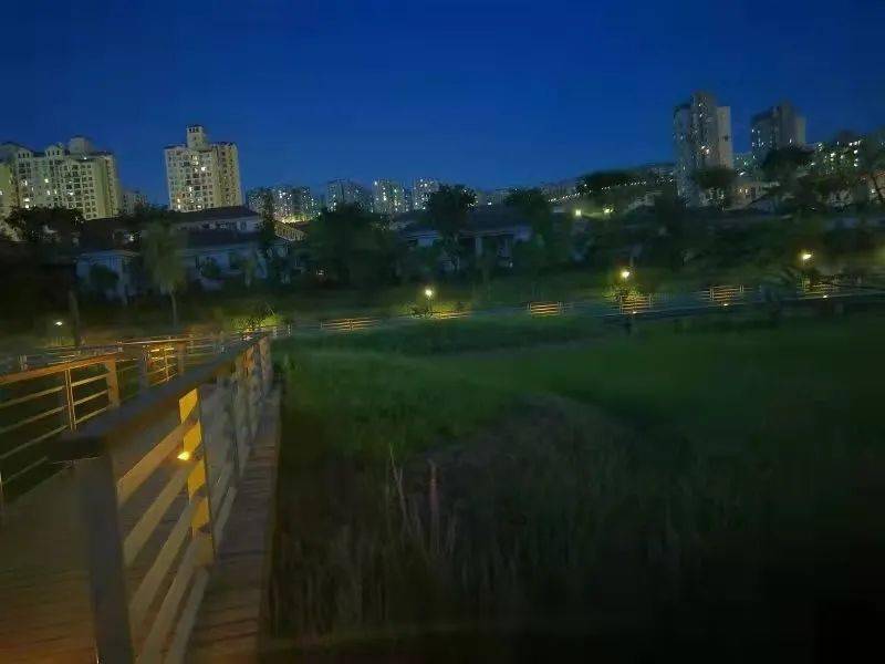 沐仙湖湿地公园夜景