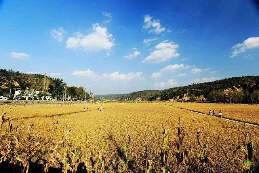 党史故事每周学|南泥湾:鲜花开满川