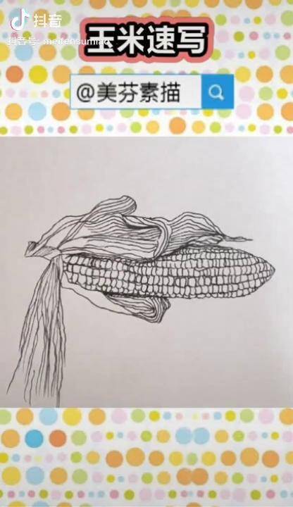 一笔一画教你画一个大玉米静物速写手绘画新手自学速写入门教程秋天