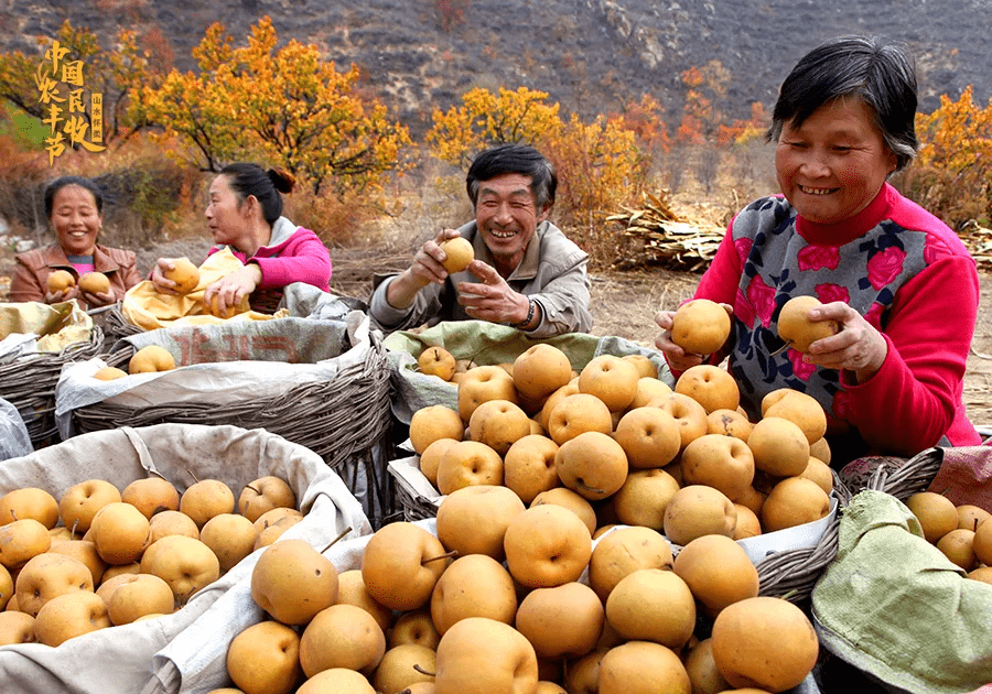 中國農民豐收節看懷柔豐收的景色