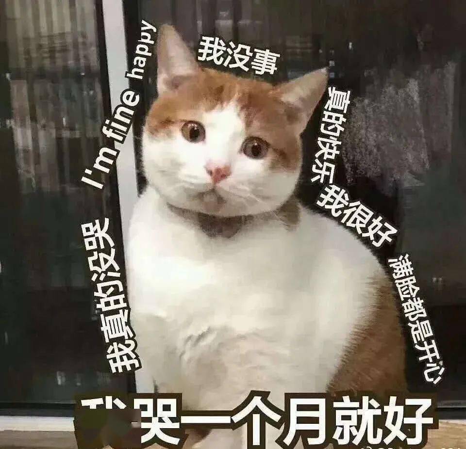 3510f31eb159477f90eb7ea1834fe590.jpeg