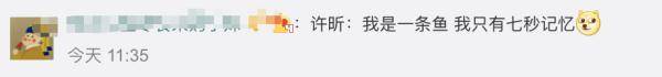 网友|许昕比赛结束就“失忆”，网友：像极了考完试的我