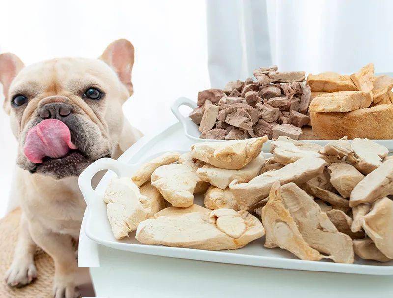 布兜|这才是狗狗零食的正确打开方式……