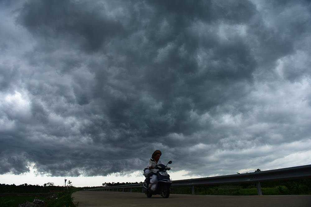 雷雨|物候记·秋分｜平分秋色