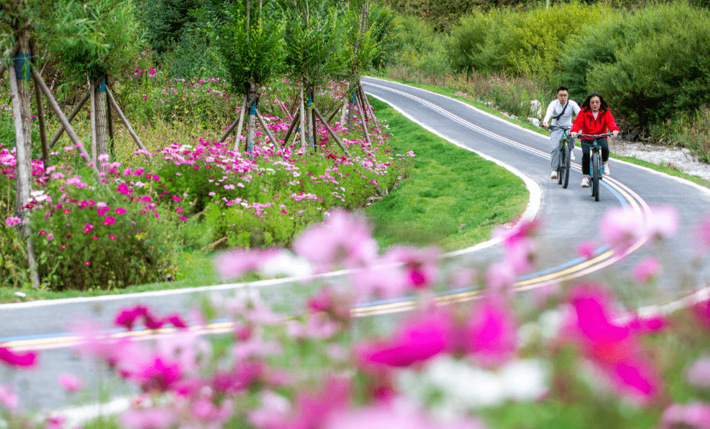 崇礼新晋打卡地落成这段通往太舞的自行车道也太美了吧