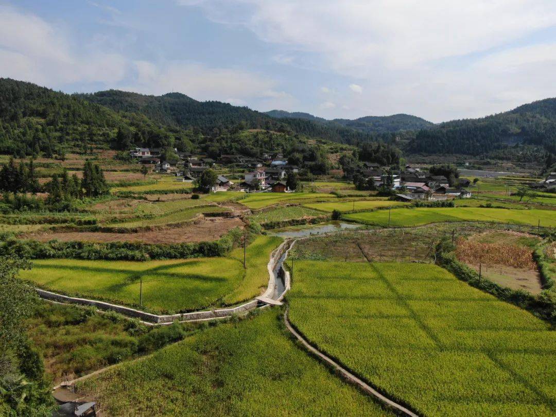 岛屿上的米粮川