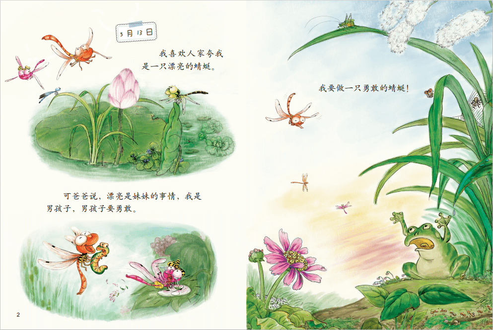 绘本阅读丨我的日记系列蜻蜓的日记