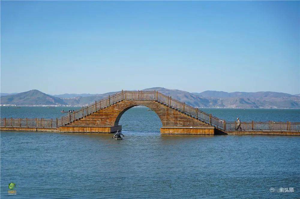 上午:江川区星云湖南岸湿地公园