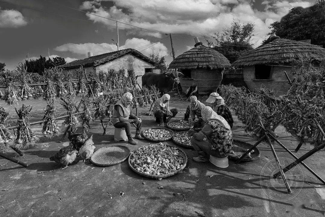 国际|获奖公布丨2021第十届台中国际摄影艺术展作品（台湾专题组）