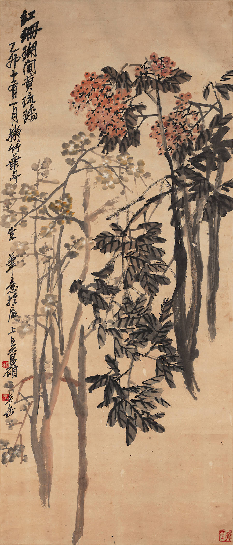 南艺|南艺收藏的近代花鸟名作，李鱓、任薰、张大壮都在其中