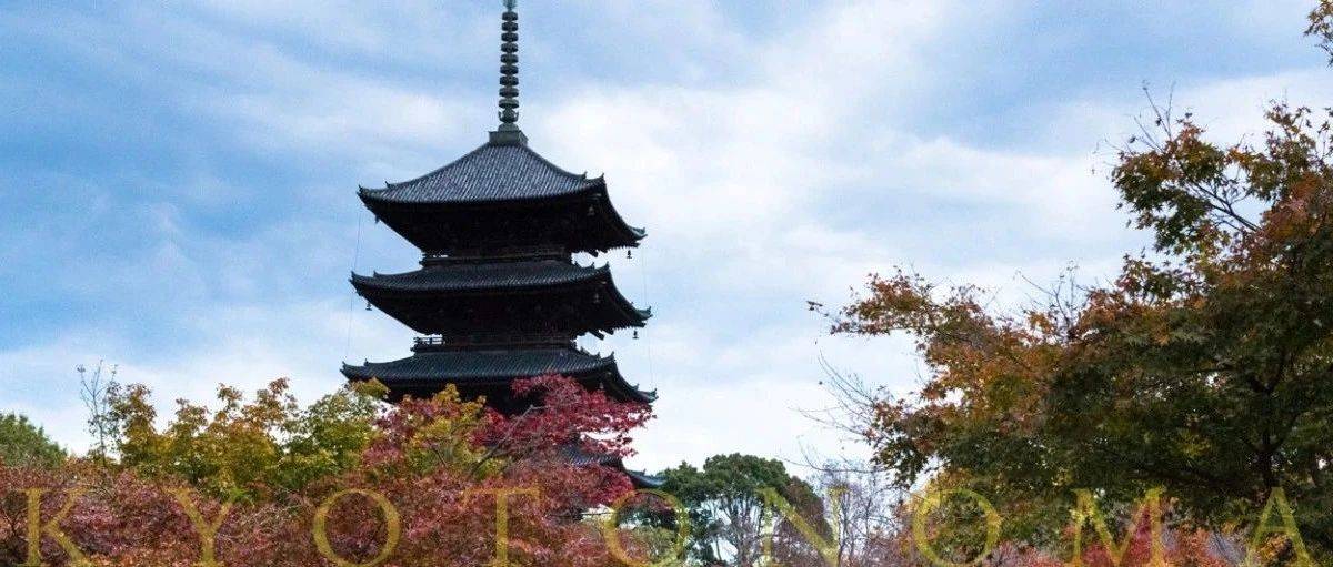 东寺:一颗来自1000多年前的时间胶囊_讲堂