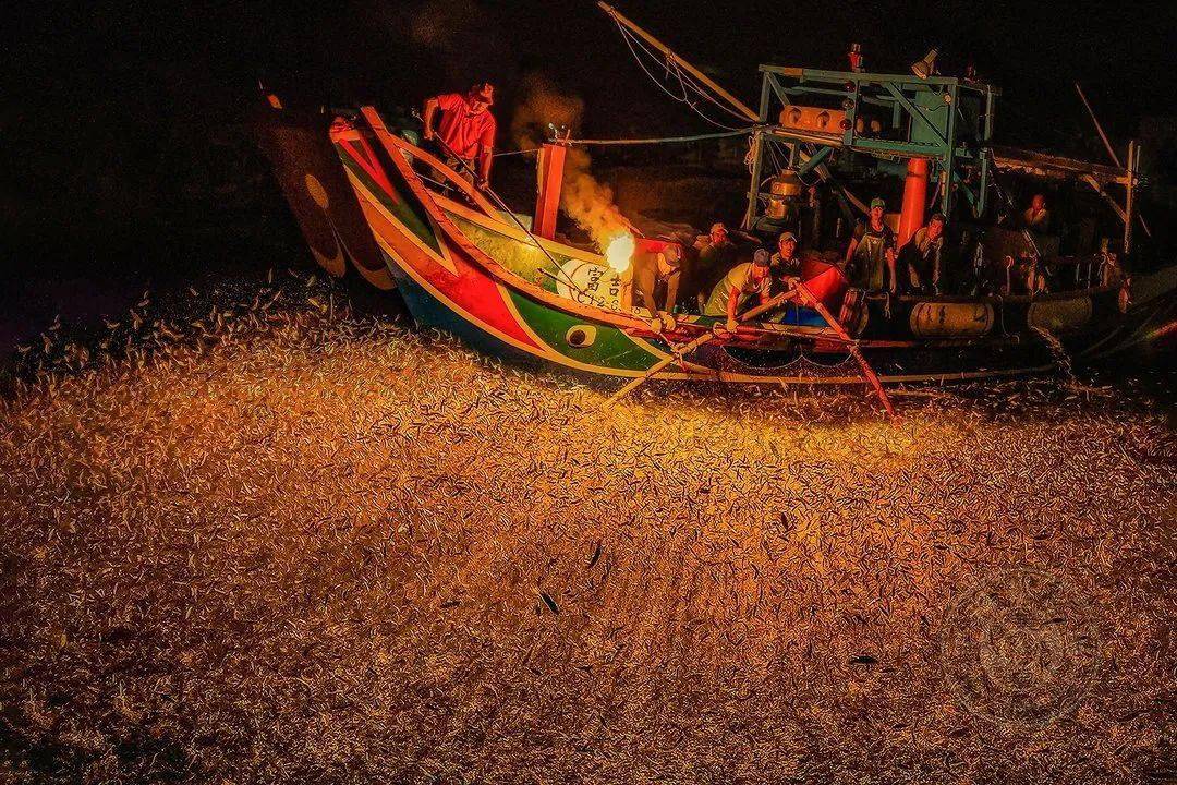 国际|获奖公布丨2021第十届台中国际摄影艺术展作品（台湾专题组）