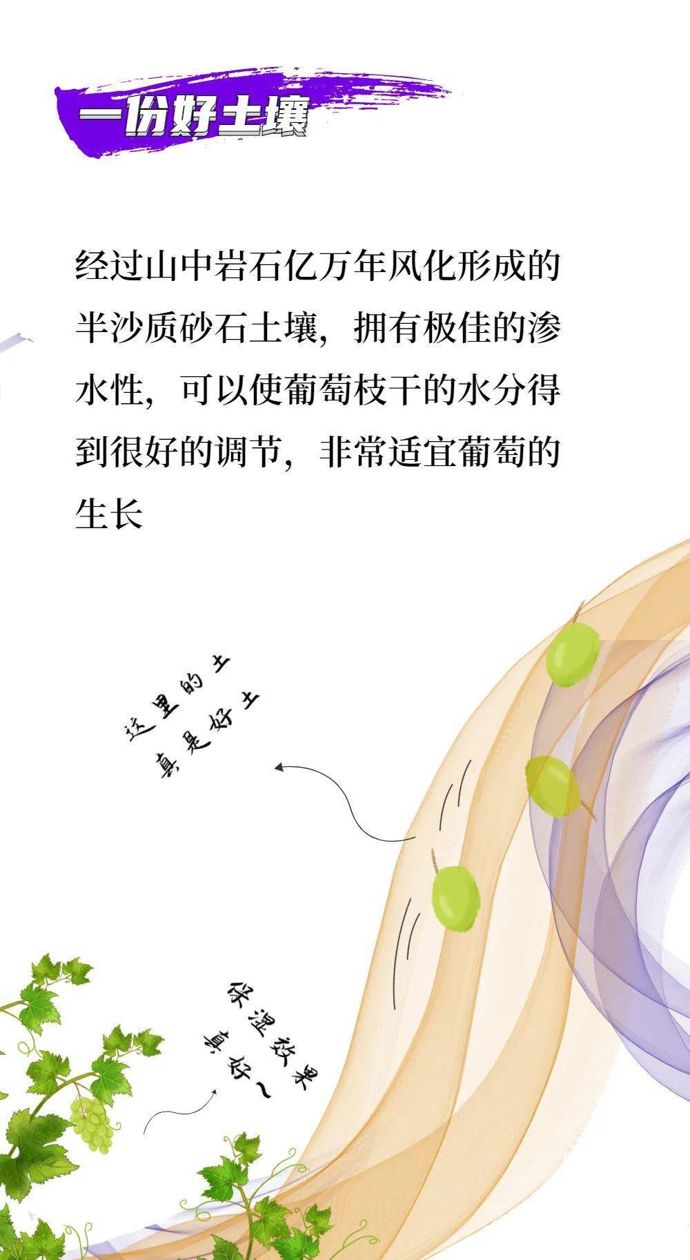 创意作品|听说，宁夏葡萄酒最近很火！