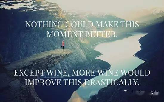 什么|葡萄酒爱好者的日常