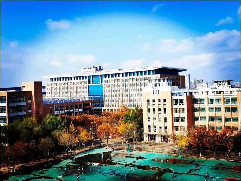 老陈的故事青春守望者德州一中班主任系列报道四