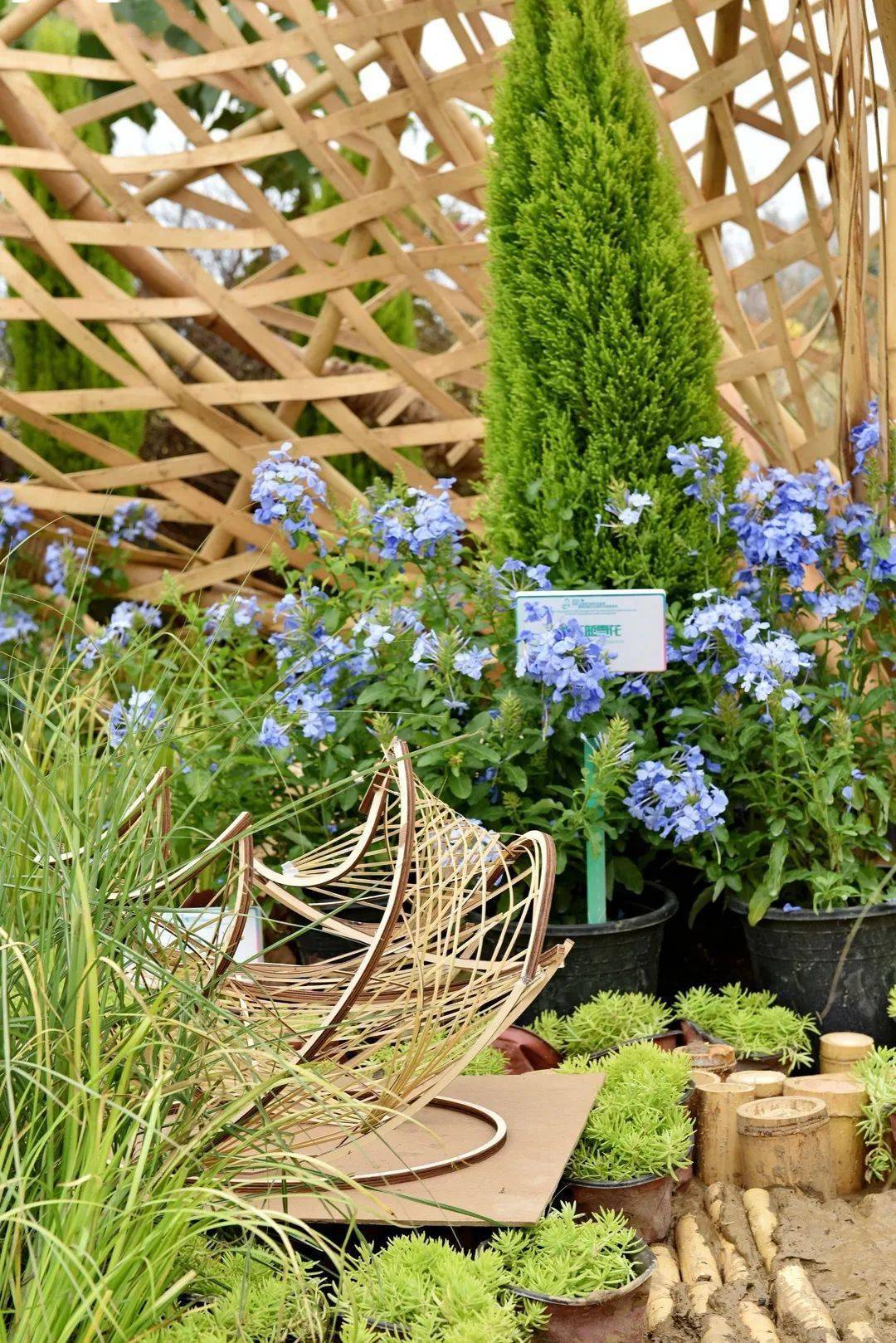 竹构|成都青龙湖“花园”，上新！