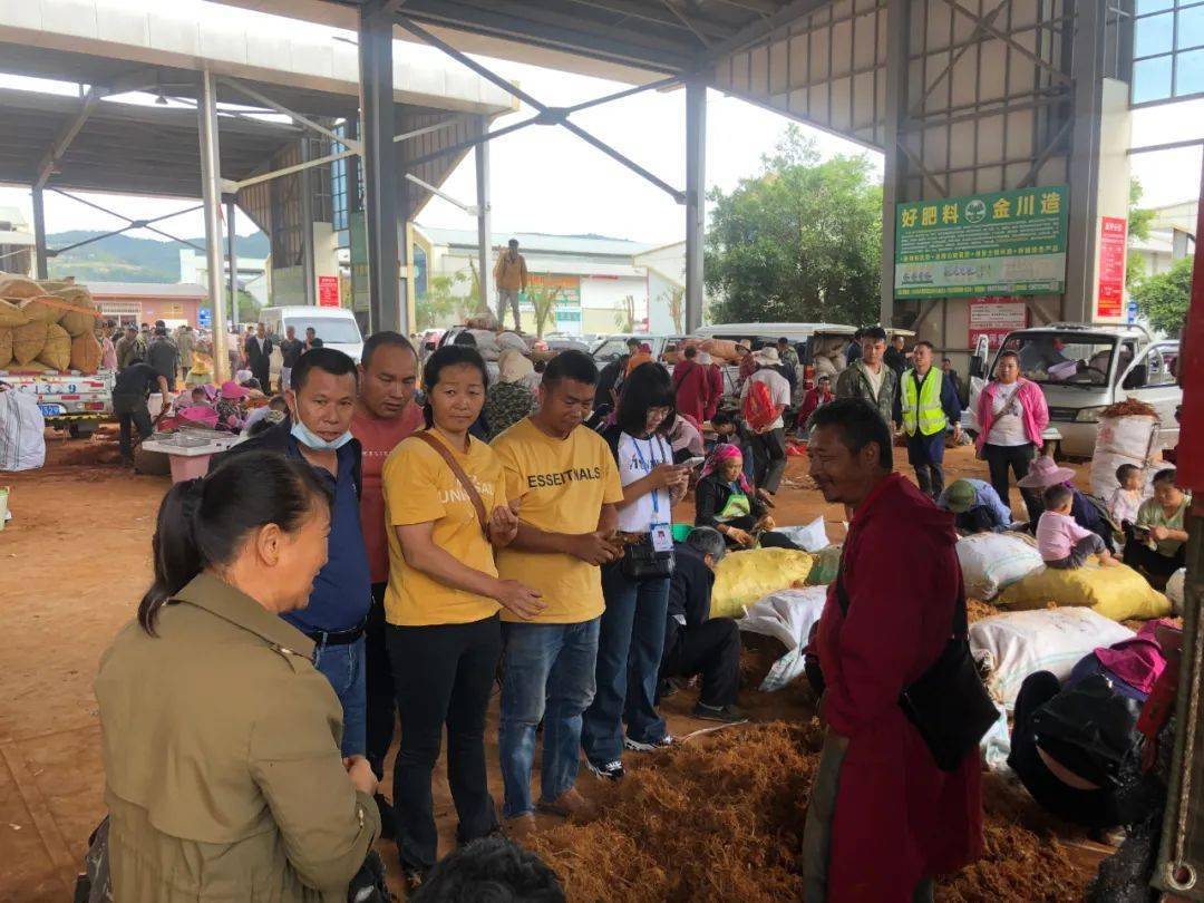 价格起伏不定今天上午,记者来到位于登高片区的鲜三七交易市场看到