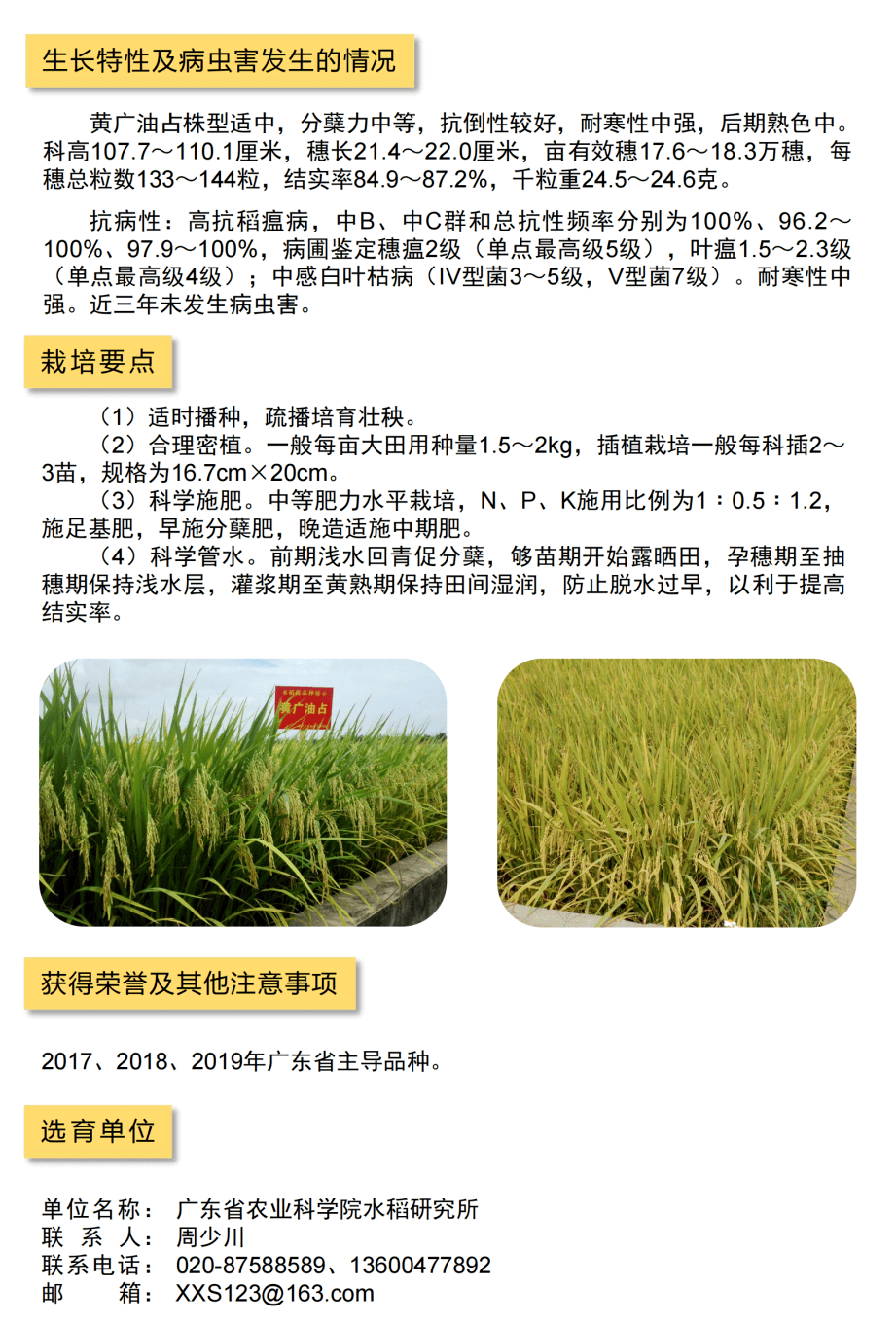 详解一起来看2021年广东省农业主导品种水稻篇