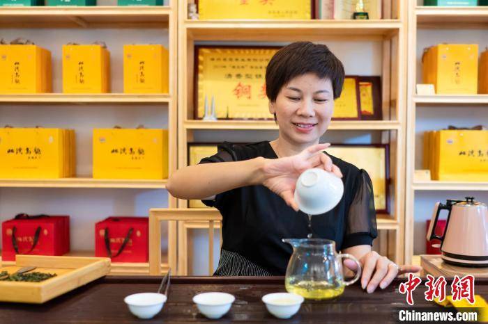 她，从特区到山区二次创业：弘扬家乡茶文化
