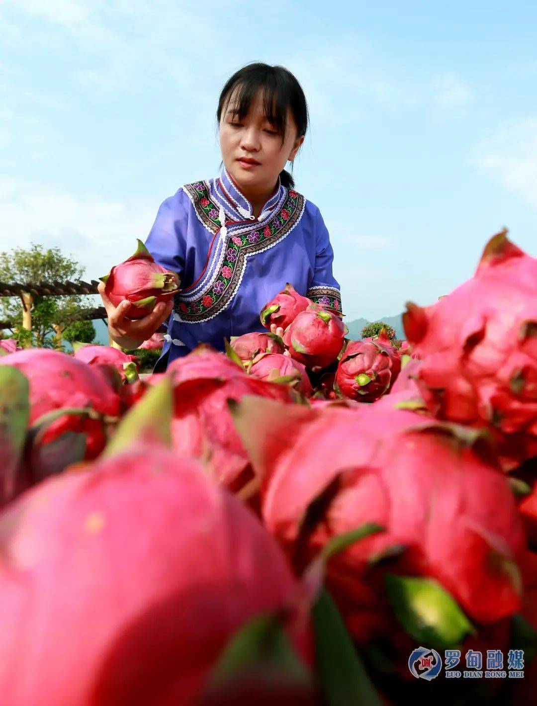 享趣4s旅居生活爱上不一样的长寿之乡贵州罗甸