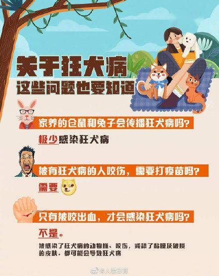 News|病死率几乎100%！关于狂犬病，这些你要知道