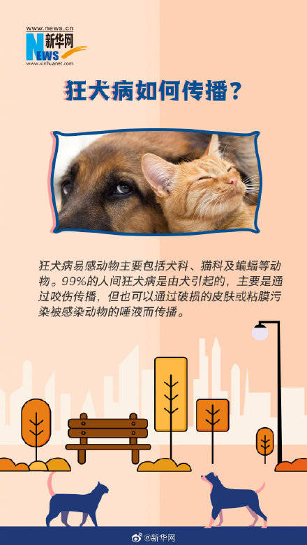 死亡|这些狂犬病常识你一定要了解