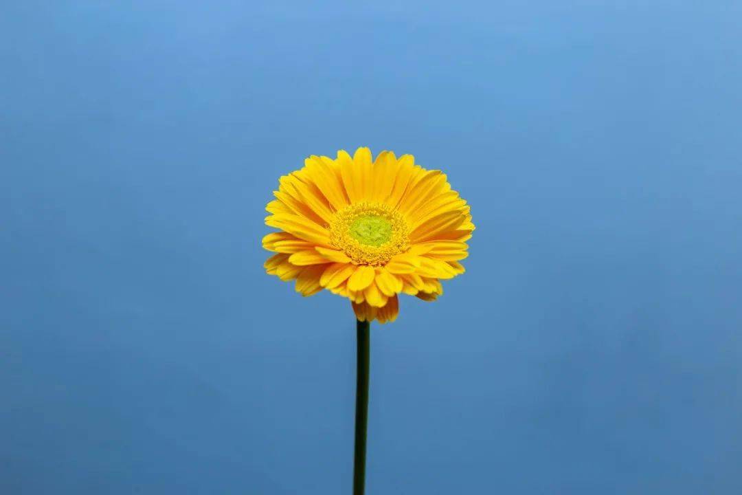 淡定看人生,宁静做自我_生活