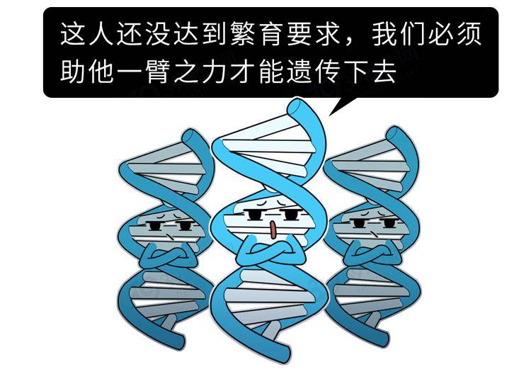 Madden|不想年轻时暴毙，就看看这篇长寿密码