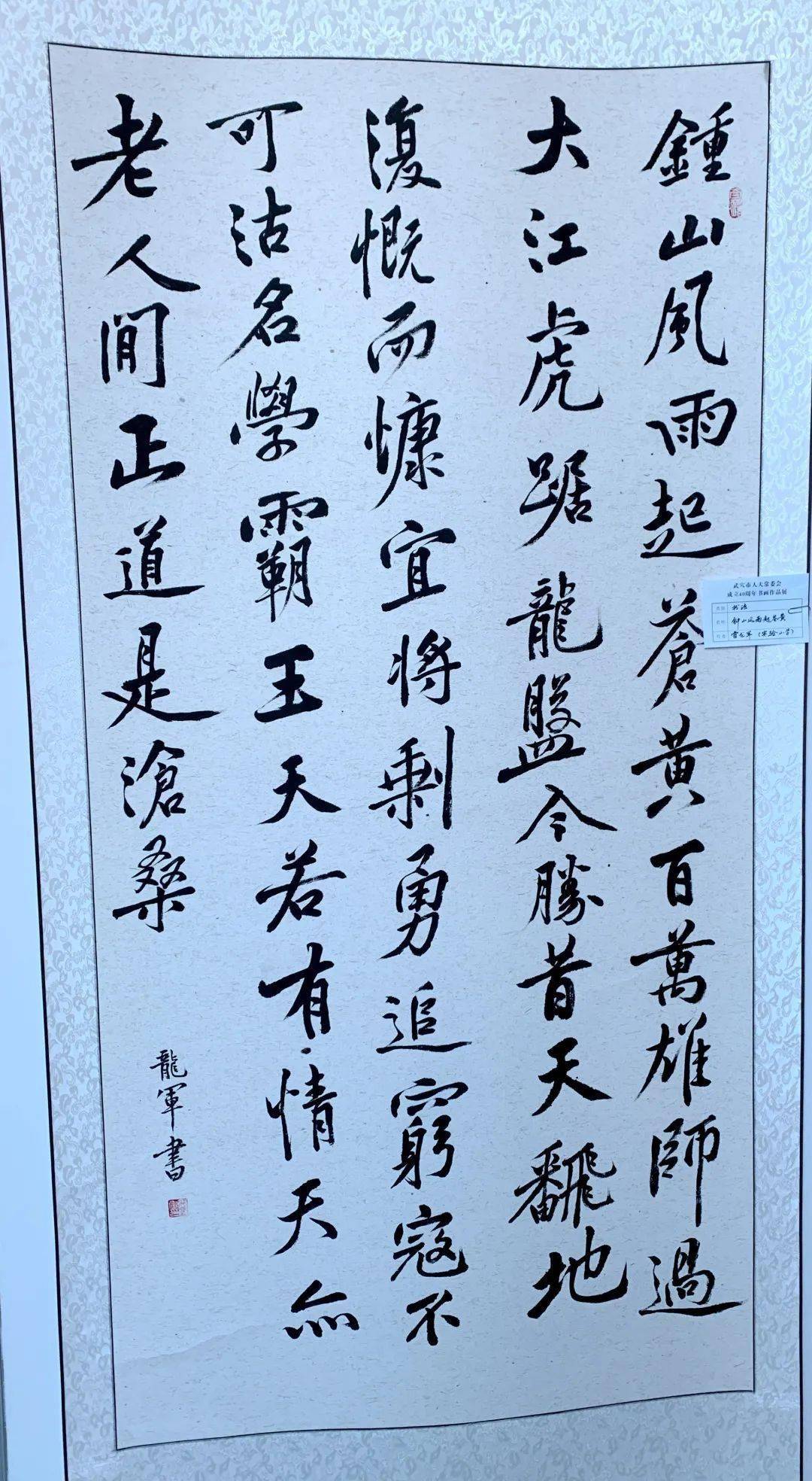 雷龙军 《钟山风雨起苍黄》陈连斌 《人民至上》朱亚丹 《人民代表