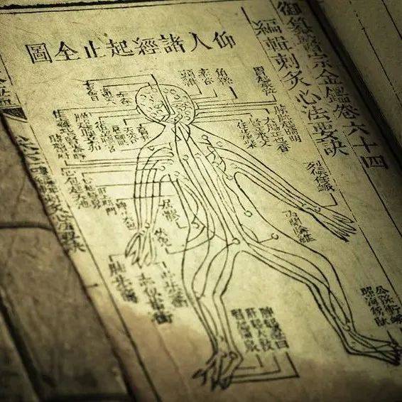 身上藏着九个窝,都是上天给你的治病帮手,不会用太可惜!_方法