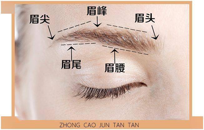 你是什么脸型就画什么眉毛画对了才会更美