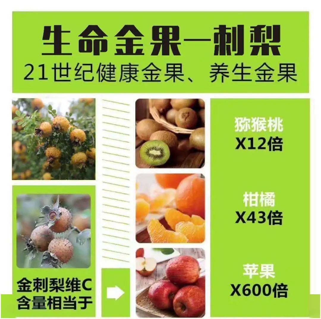 萌选好物 加班续命喝什么 枸杞 刺梨 沙棘 营养补充品界的 爱马仕 原浆