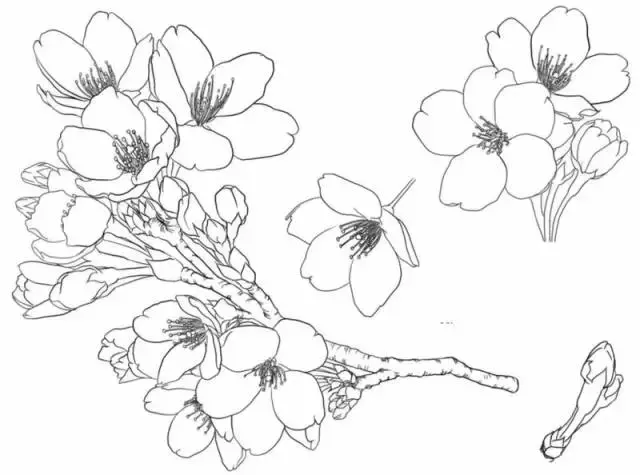什么叫做白描手法 b3da5ba307f8452eb8ef37d204413498.png