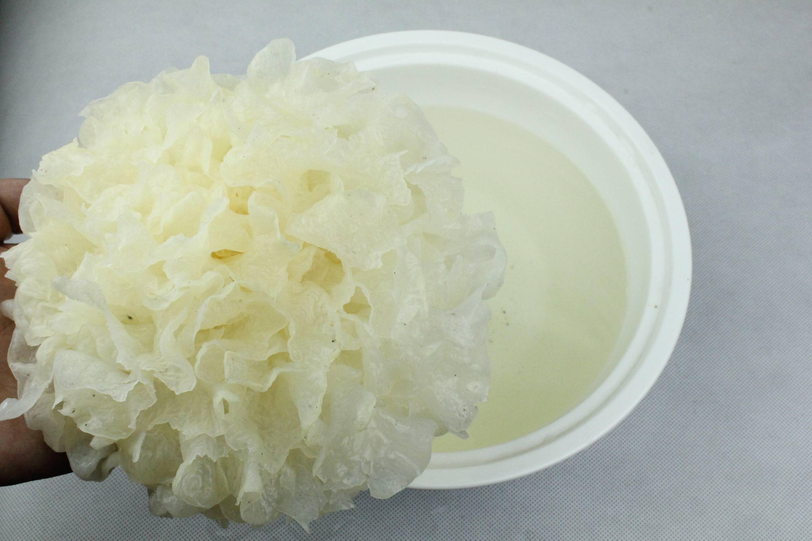 4.银耳和百合一样，银耳也是一种药食双用食材。不仅如此，银耳的功效和