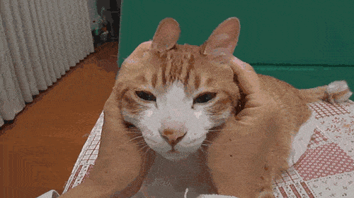 漂亮|每日一笑,?像不像和老婆吵架的你?