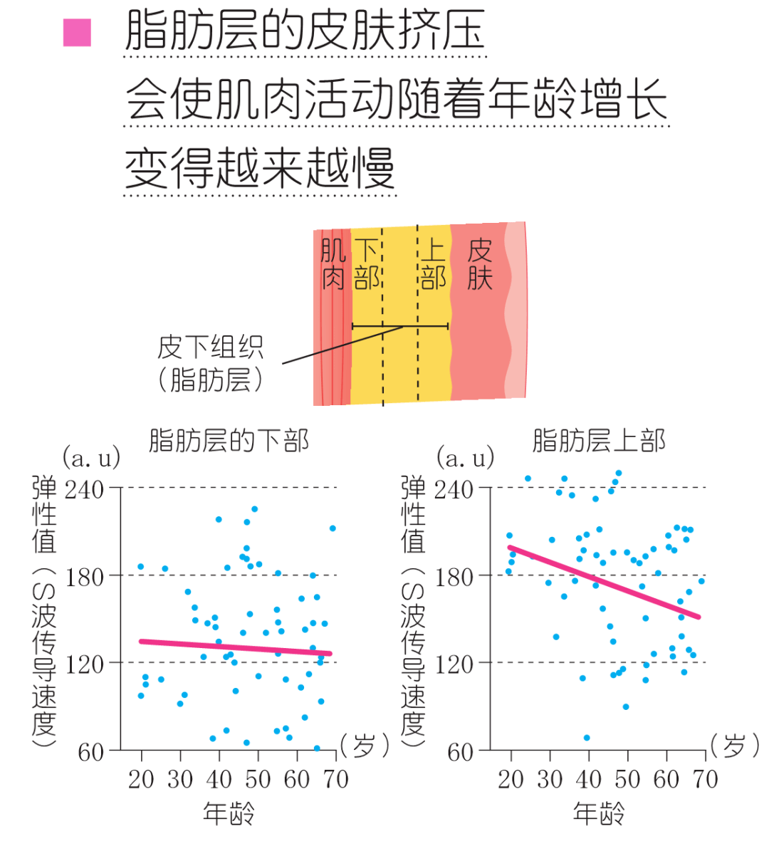 取向男女版“建模脸”审美取向，谁是最佳耐看脸？