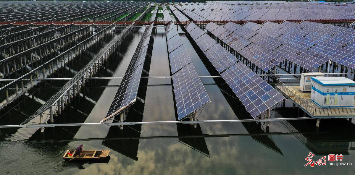 光明图刊渔光互补生态富民