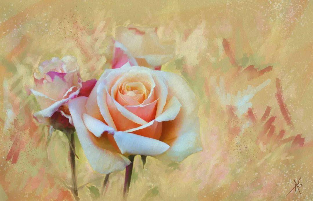 70岁水彩大师一生偏执画花笔下色彩明艳梦幻美爆的花朵让人沉浸无法