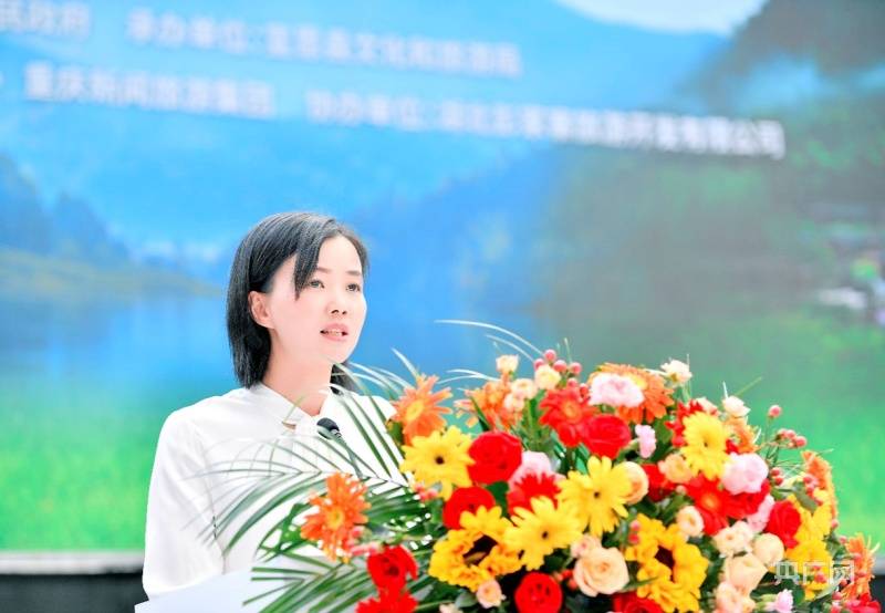 现场,中共宣恩县委书记习覃,恩施州文化和旅游局副局长,恩施州电视台