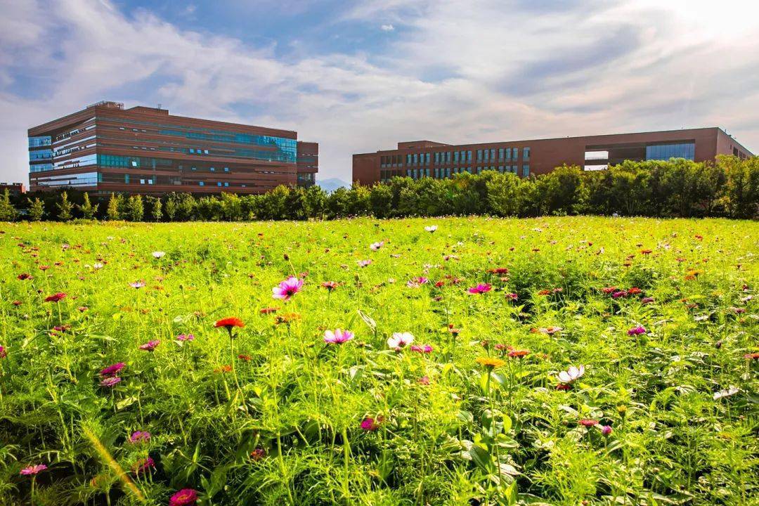 这绝美颜值太北化了吧壁纸级美图