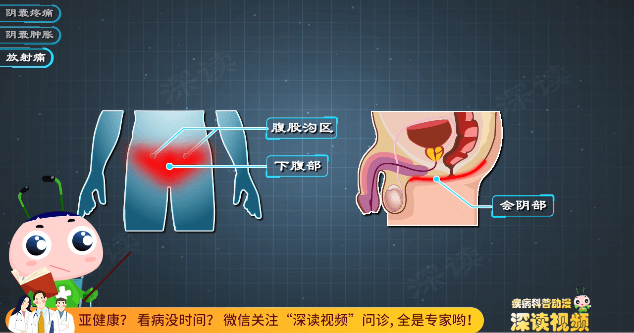 蛋蛋又痛又腫還發燒小夥長期熬夜得急性附睪炎這些症狀要小心