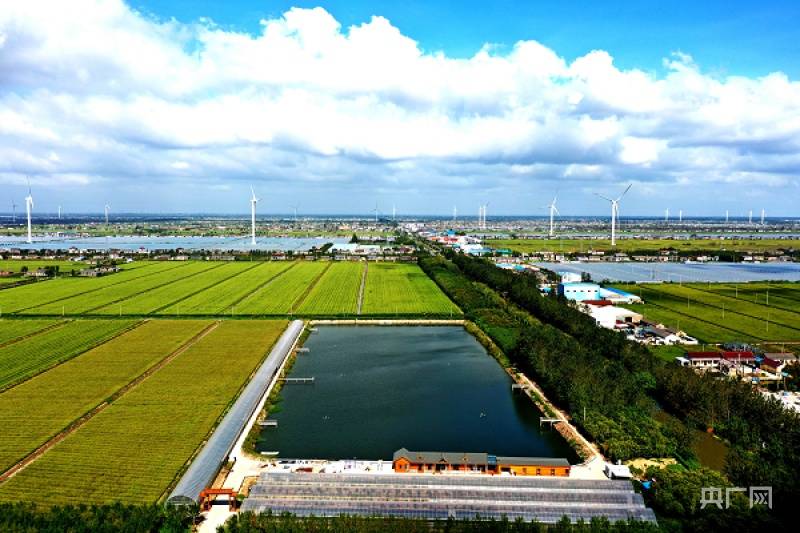 盐城大丰接轨大上海促进农业大发展