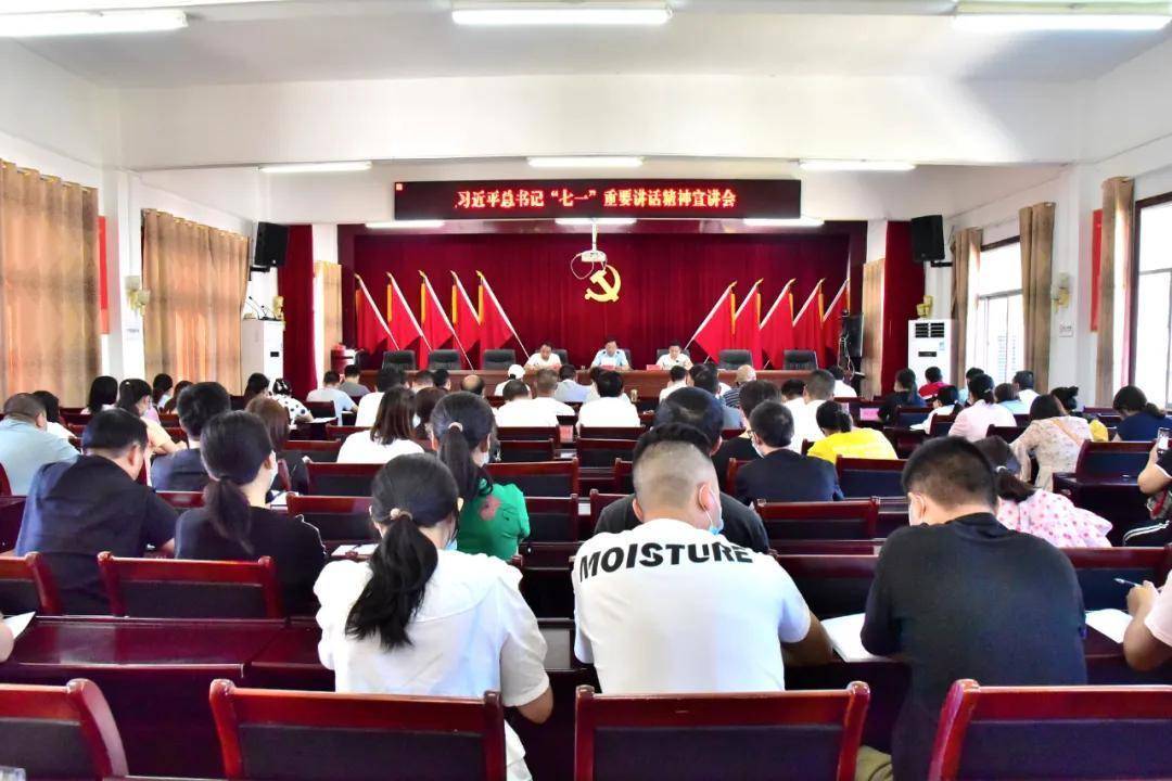 王敖到岩孔街道宣讲习近平总书记“七一”重要讲话精神_政治