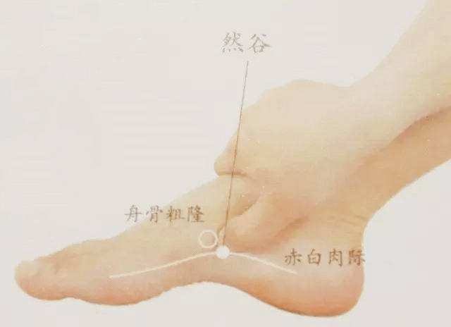 然谷穴:燃烧五谷,治疗糖尿病的奇穴!