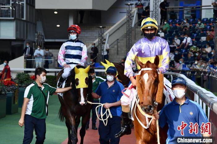 香港|香港赛马会国庆赛马日赛事 骑师与马匹力争佳绩