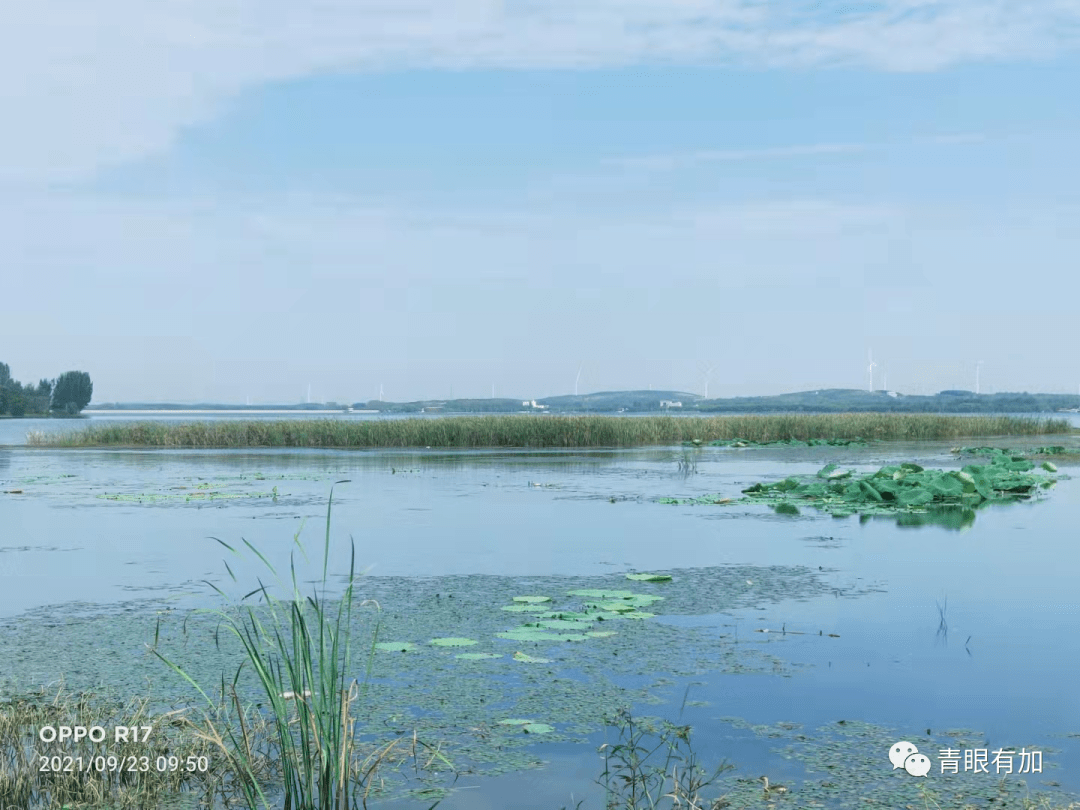 蝶变醉美旅游乡村的养成之道方城县二郎庙镇