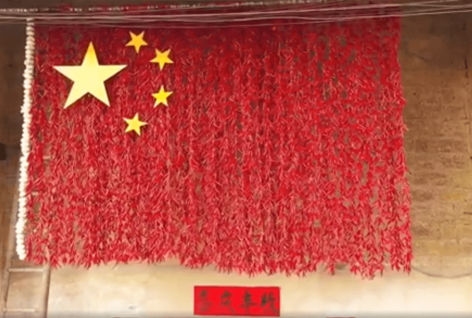 村民用辣椒拼五星红旗孩子瞬间成为小明星而"五角星辫"吸引了很多人